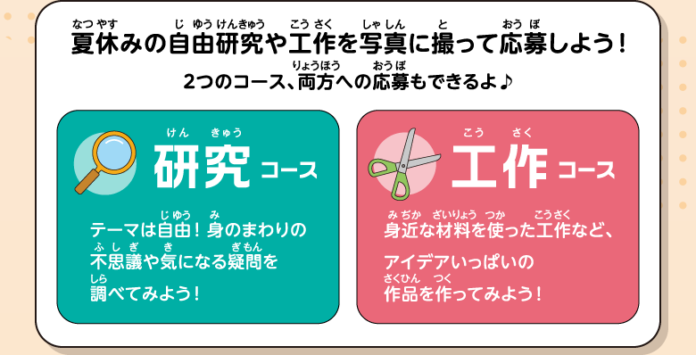 夏休みの自由研究や工作を写真に撮って応募しよう！