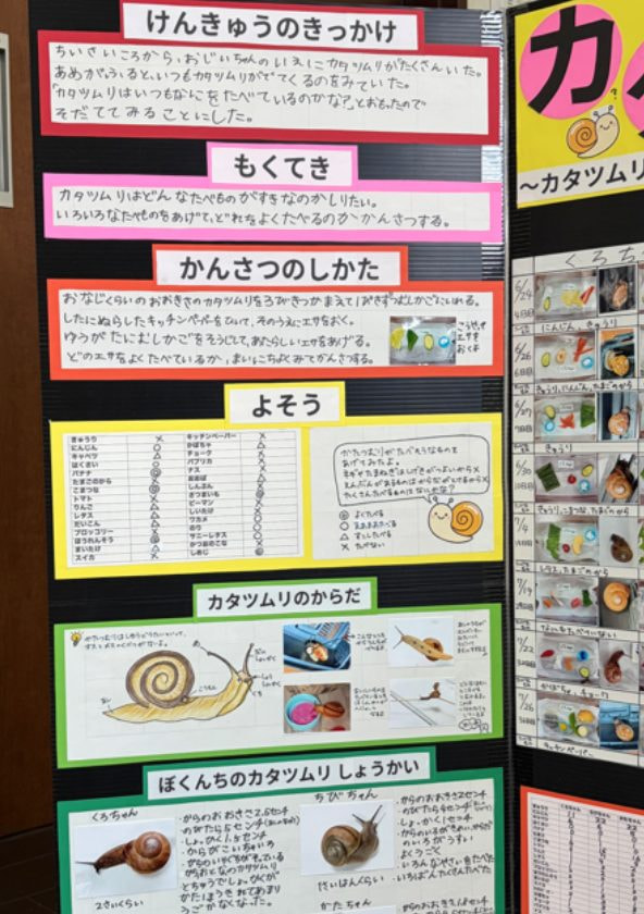 カタツムリのふしぎ(2/5)