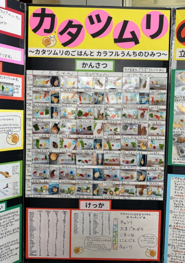 カタツムリのふしぎ(3/5)
