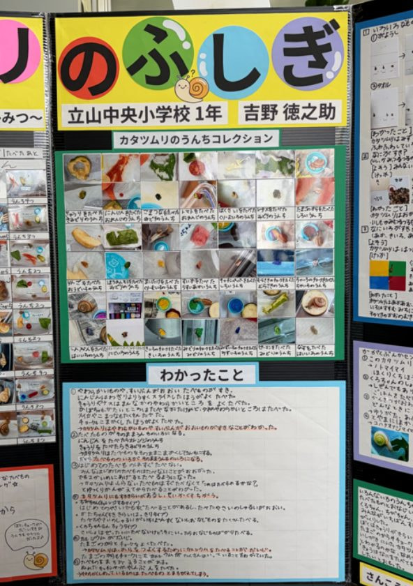 カタツムリのふしぎ(4/5)