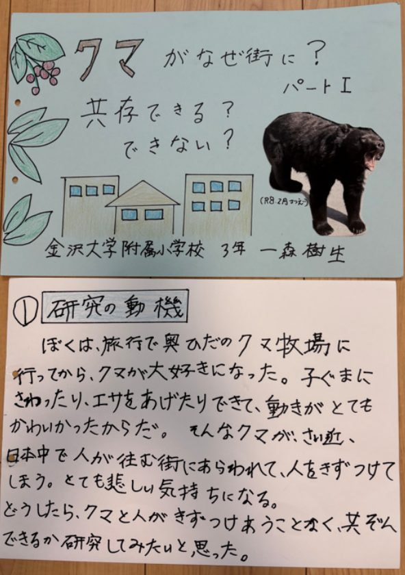 クマがなぜ街に? 共存できる?できない?(1/10)