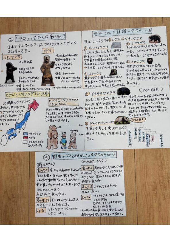 クマがなぜ街に? 共存できる?できない?(2/10)