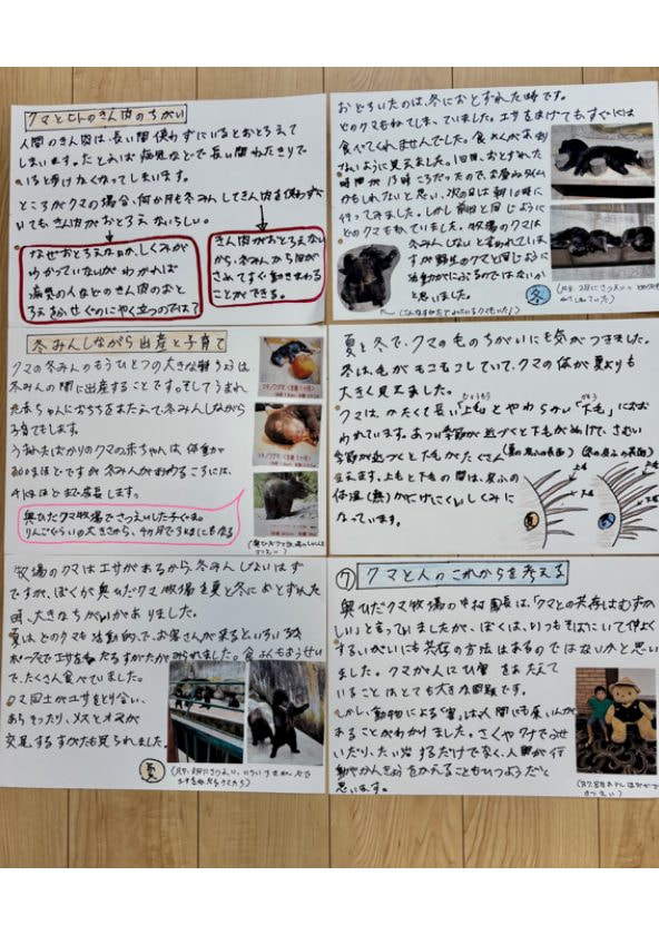 クマがなぜ街に? 共存できる?できない?(6/10)