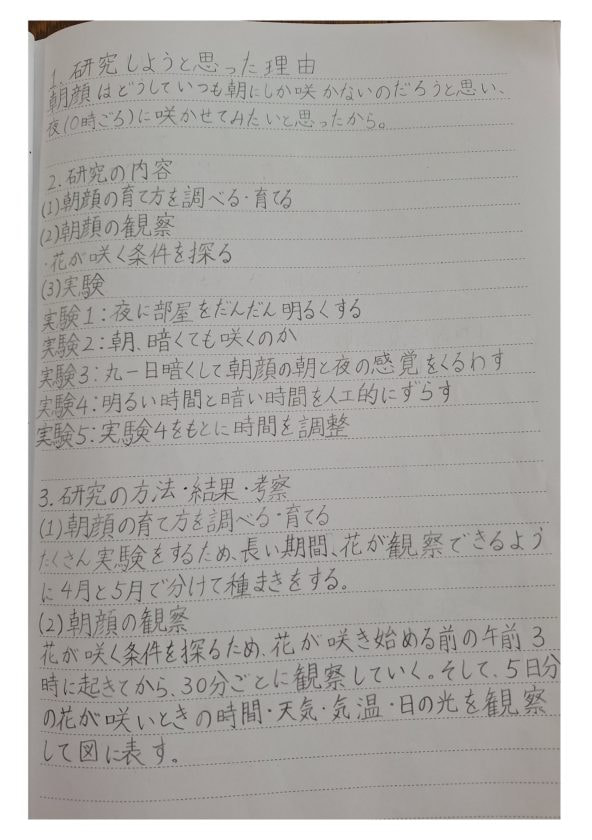 朝顔を夜に咲かせよう!(2/15)